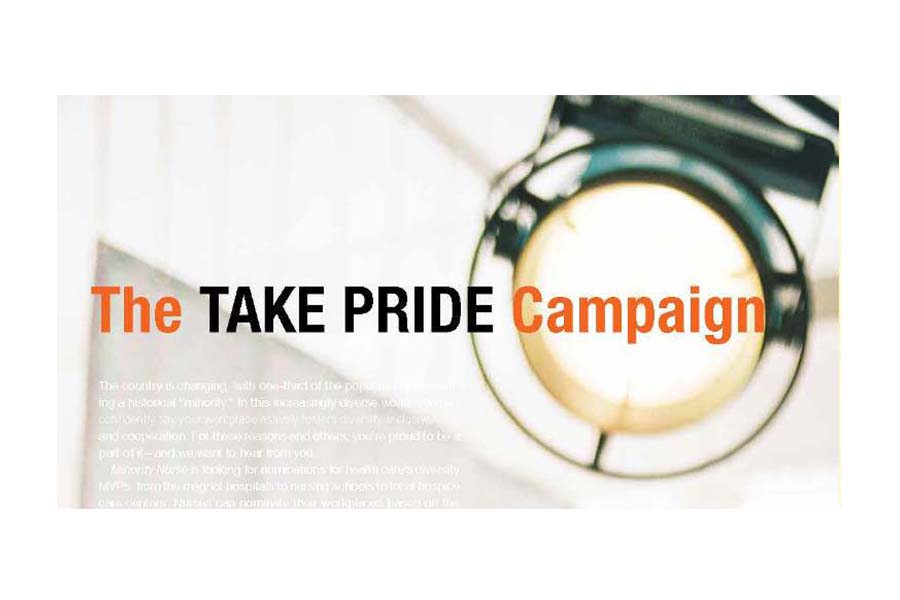 The 2013 Take Pride Campaign