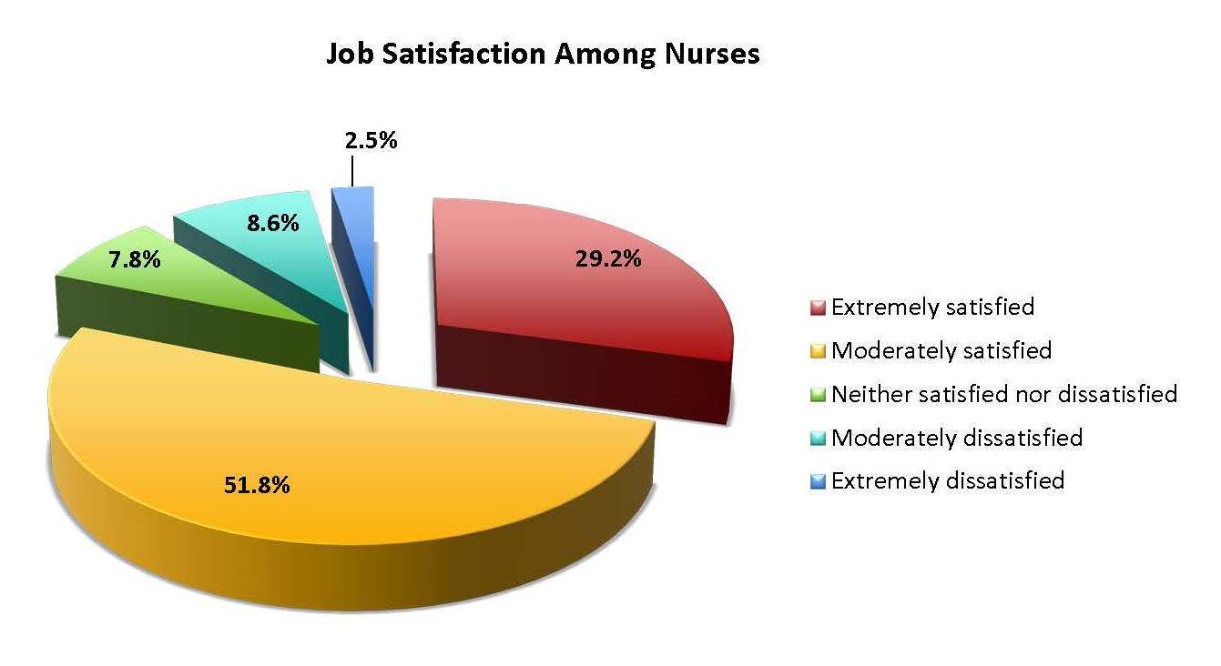 Nurse practitioner job satisfaction statistics