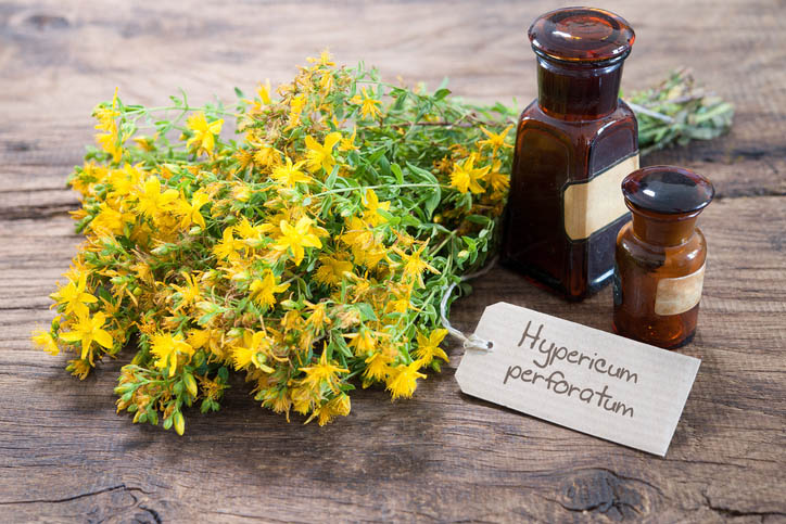 Herbal Medicine: Everything You Need to Know About St. John’s Wort