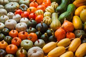 Fall Harvest Offers Nutritious Choices
