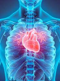 Focusing on Cardiovascular Health in February
