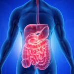 an image rendering of the GI tract for GI nurses week