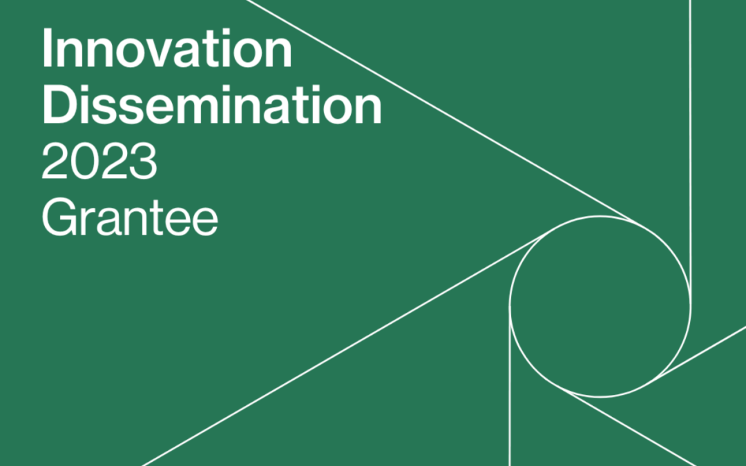 Rita And Alex Hillman Foundation Awards Innovation Dissemination Grant to TeamBirth